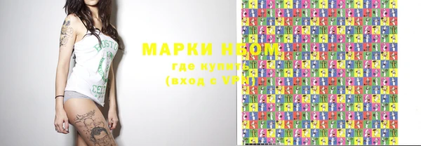 индика Нязепетровск