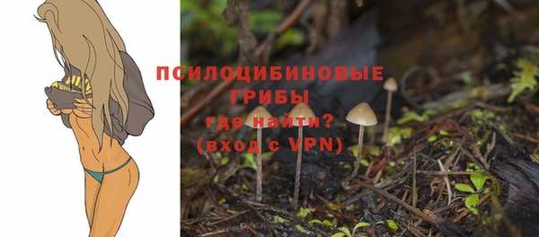 ALPHA-PVP Няндома