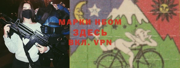 индика Нязепетровск