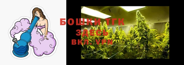 дмт Апатиты