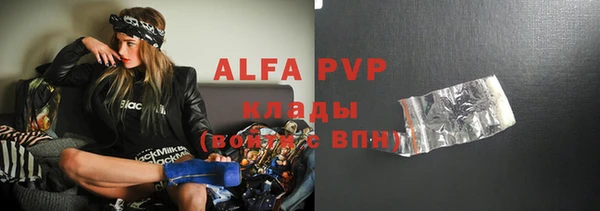 индика Нязепетровск