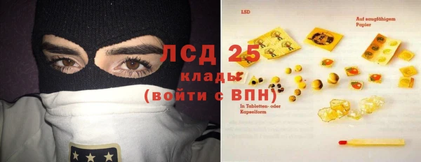 индика Нязепетровск