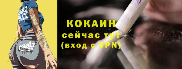 индика Нязепетровск