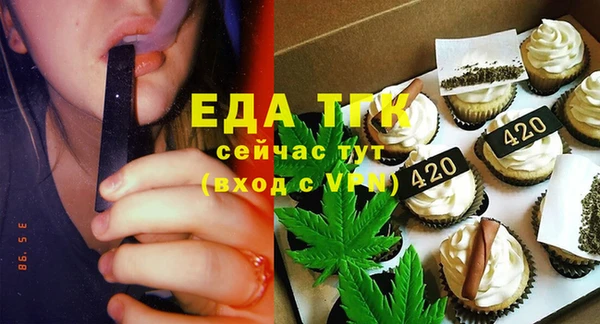 индика Нязепетровск