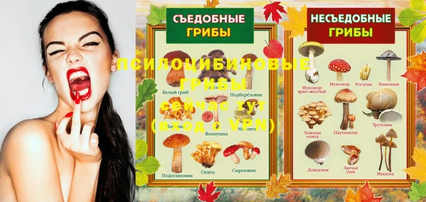 MDMA Premium VHQ Нягань