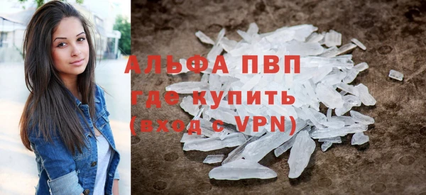 индика Нязепетровск