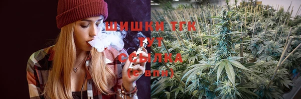 индика Нязепетровск