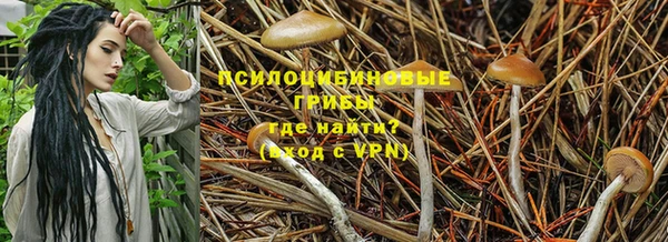 индика Нязепетровск