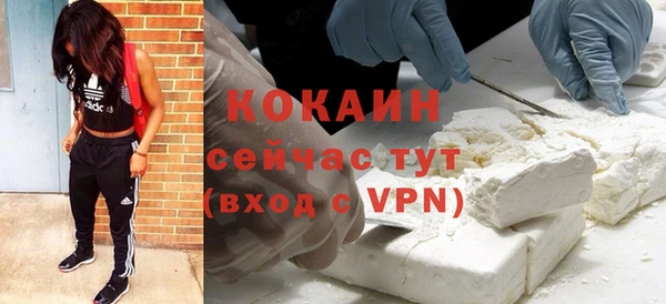 ALPHA-PVP Няндома