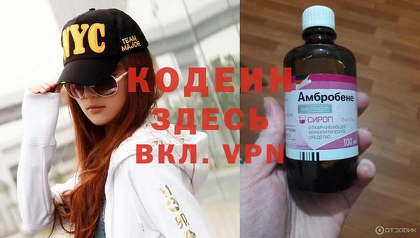 индика Нязепетровск