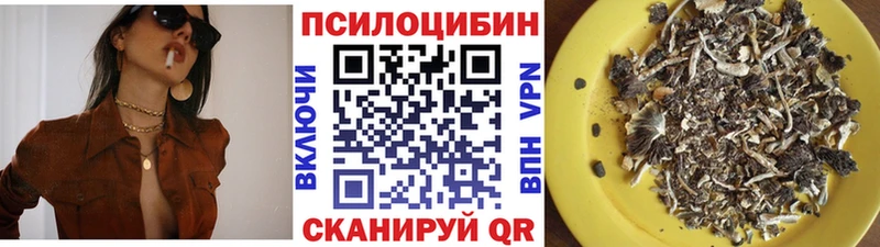 Псилоцибиновые грибы Psilocybine cubensis блэк спрут ссылка Сусуман